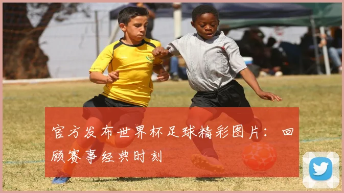 官方发布世界杯足球精彩图片：回顾赛事经典时刻