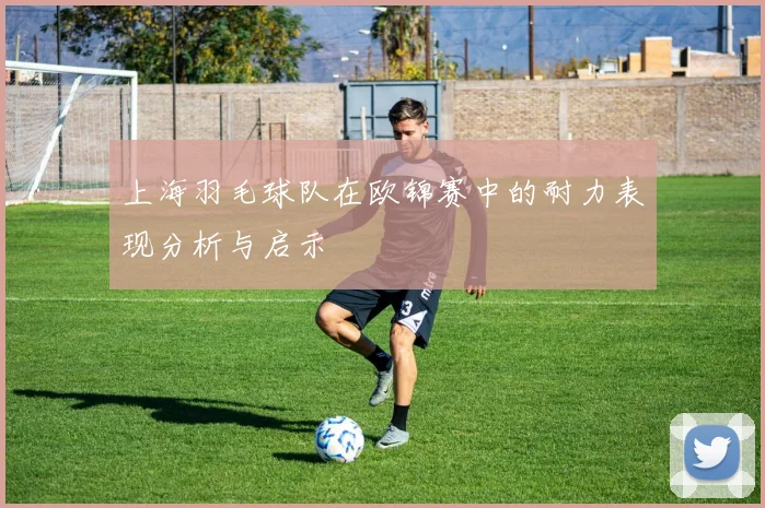 上海羽毛球队在欧锦赛中的耐力表现分析与启示