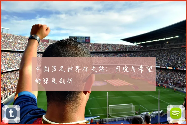 中国男足世界杯之路：困境与希望的深度剖析