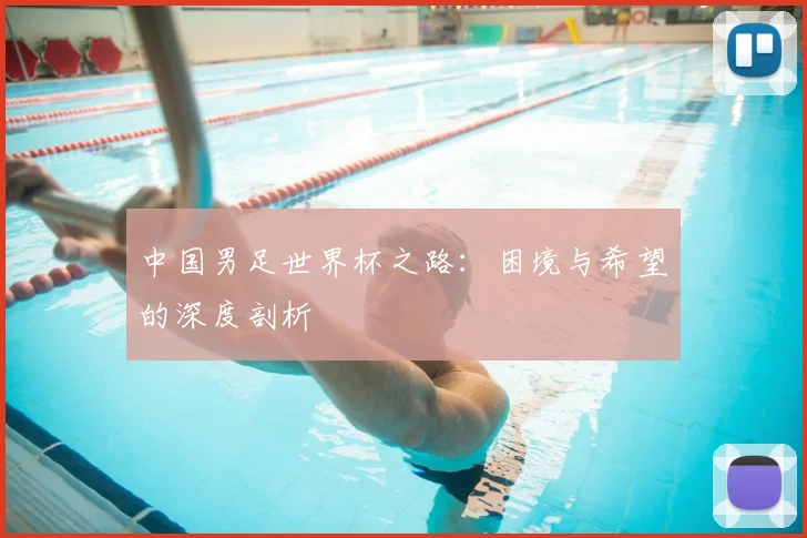 中国男足世界杯之路：困境与希望的深度剖析