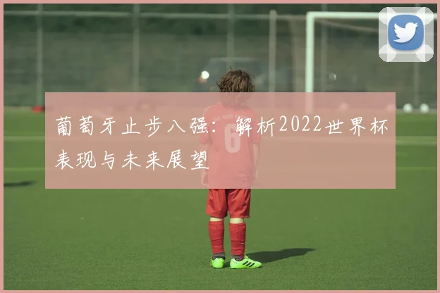 葡萄牙止步八强:解析2022世界杯表现与未来展望