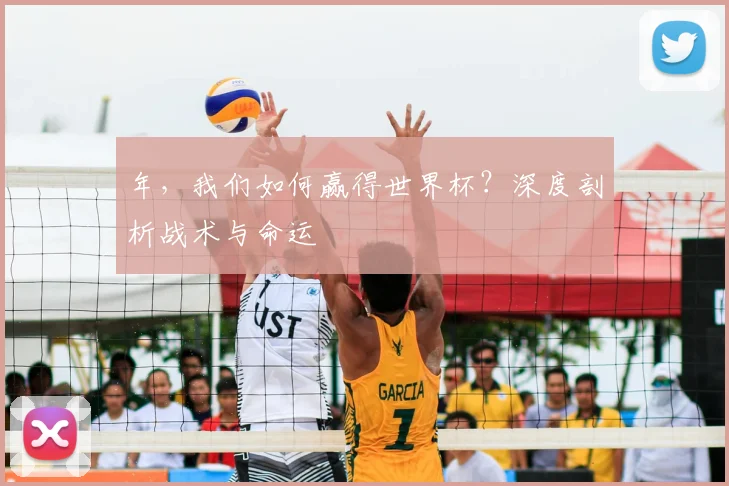 年,我们如何赢得世界杯?深度剖析战术与命运