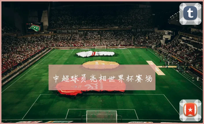 中超球员亮相世界杯赛场