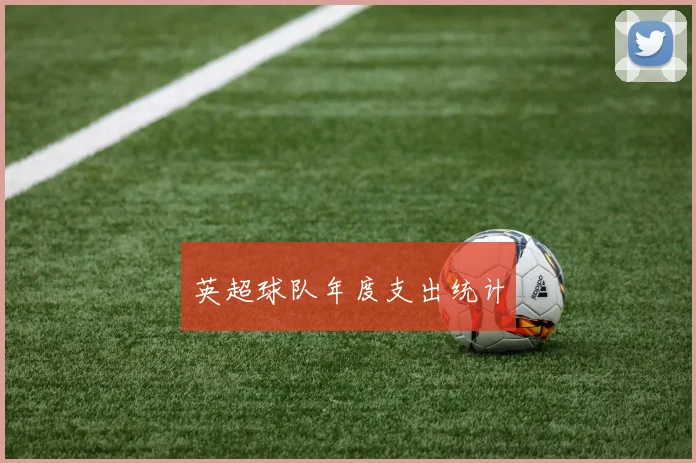 英超球队年度支出统计