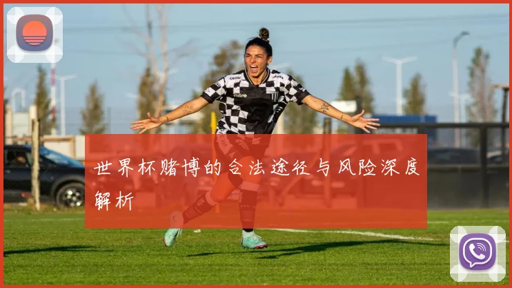 世界杯赌博的合法途径与风险深度解析