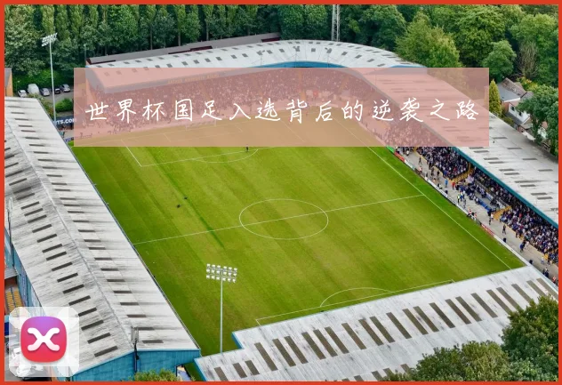 世界杯国足入选背后的逆袭之路