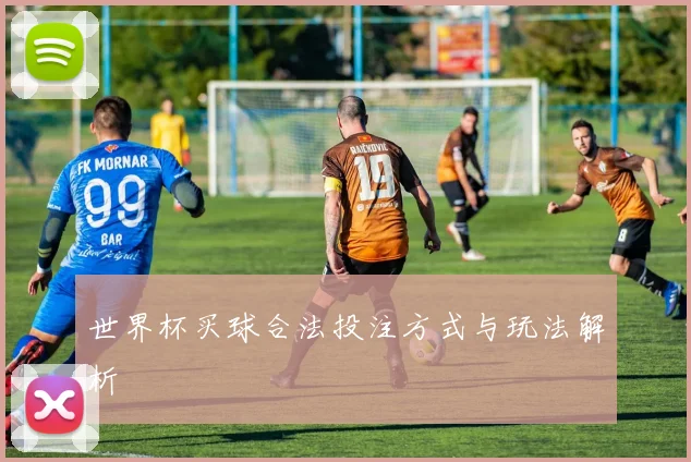 世界杯买球合法投注方式与玩法解析