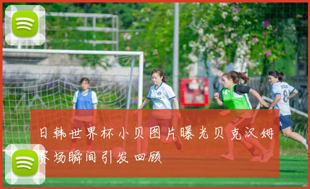 日韩世界杯小贝图片曝光贝克汉姆赛场瞬间引发回顾